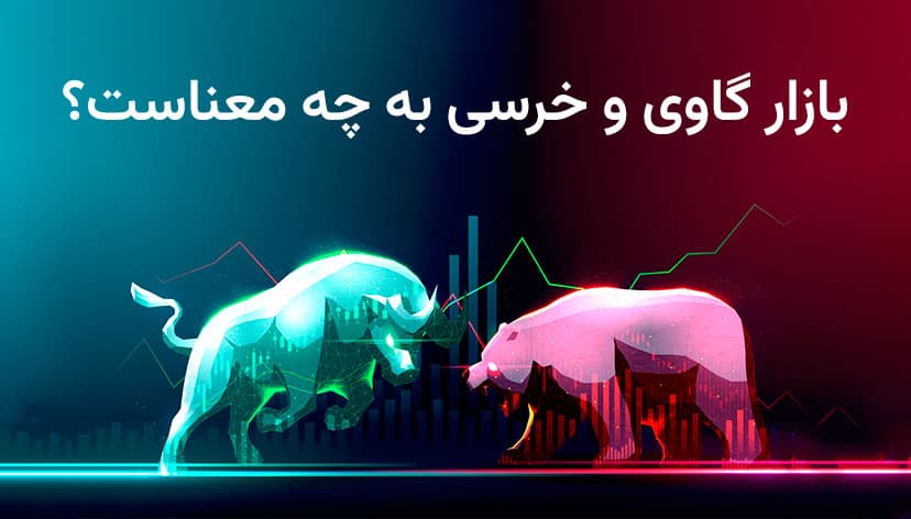 هرآنچه از بازار گاوی و خرسی باید بدانید